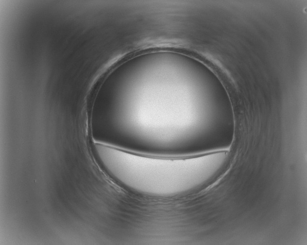 X0000076261317200609281009