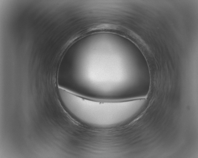 X0000076261321200609281009