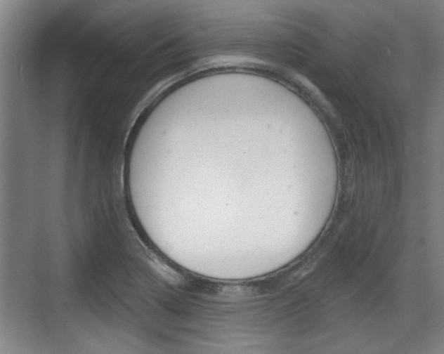 X0000076261322200609281009
