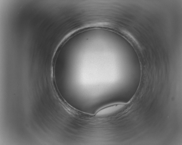 X0000076261324200609281010