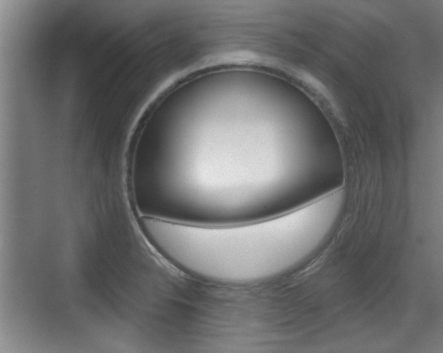 X0000076261326200609281010