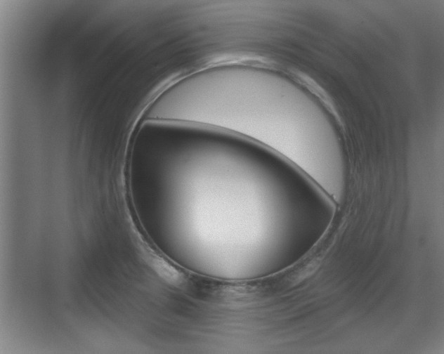 X0000076261330200609281010