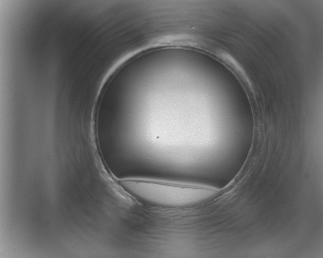 X0000076261336200609281010
