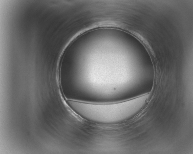 X0000076261342200609281010