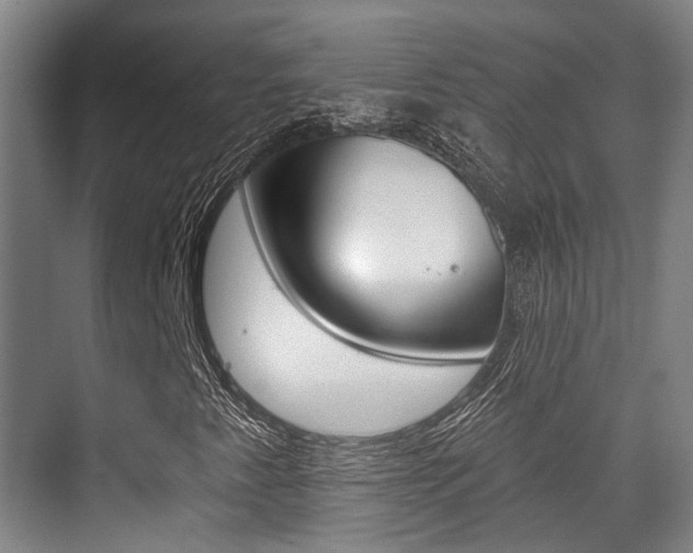 X0000076261345200609281009