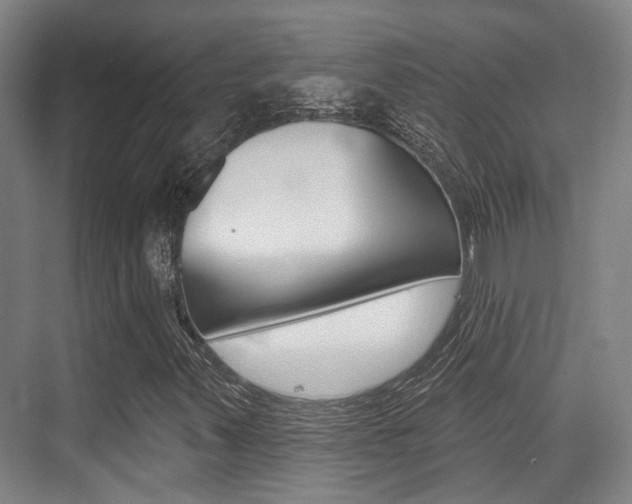 X0000076261347200609281009