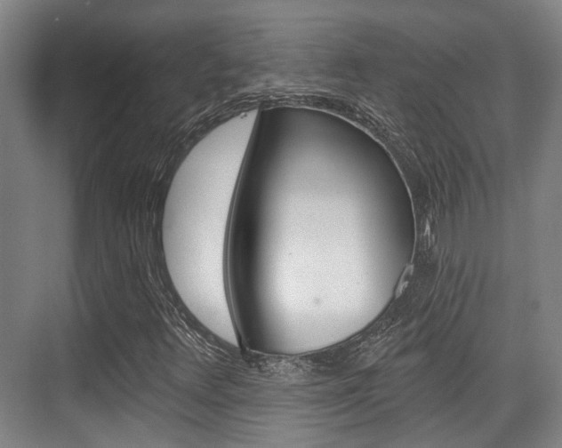 X0000076261348200609281009