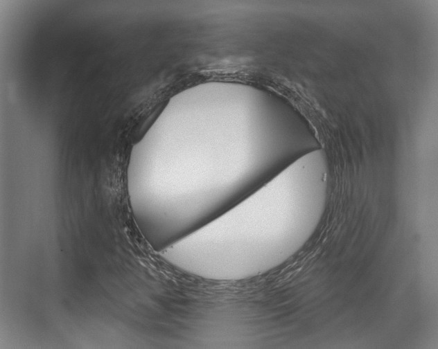 X0000076261350200609281009
