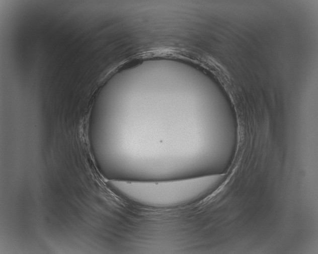 X0000076261353200609281009