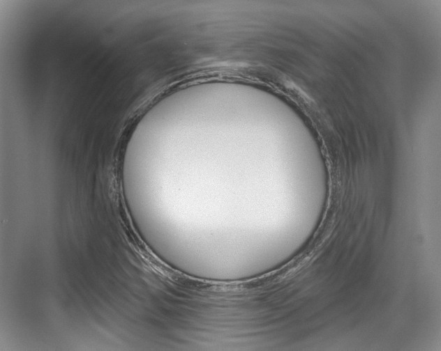 X0000076261354200609281009