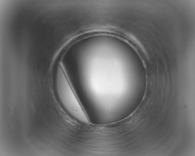 X0000076261360200609281009