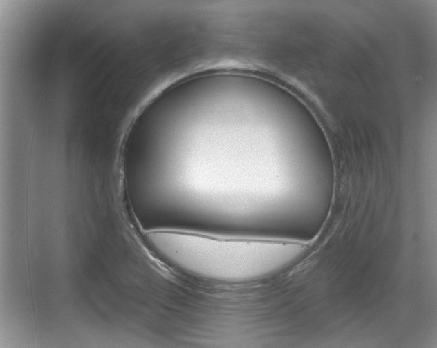 X0000076261367200609281009