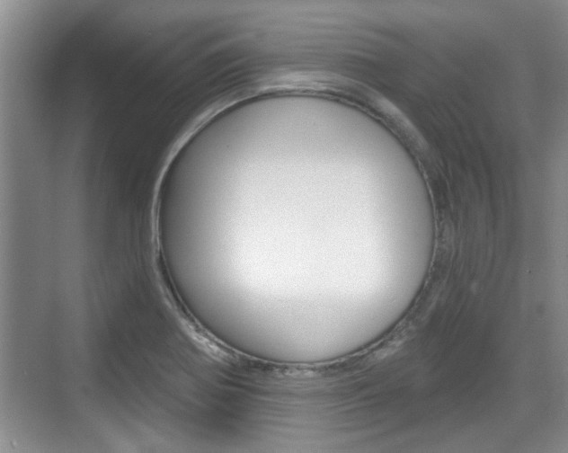X0000076261370200609281009