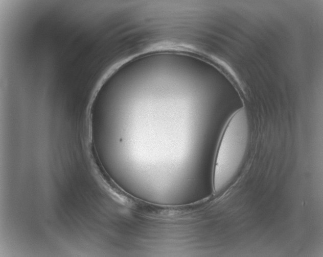 X0000076261371200609281009