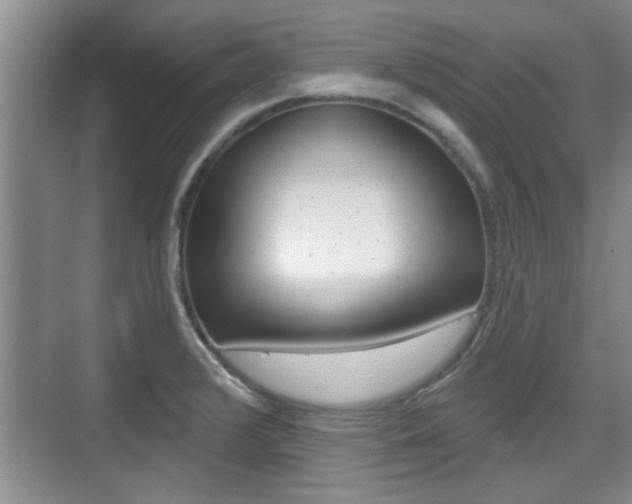 X0000076261376200609281009