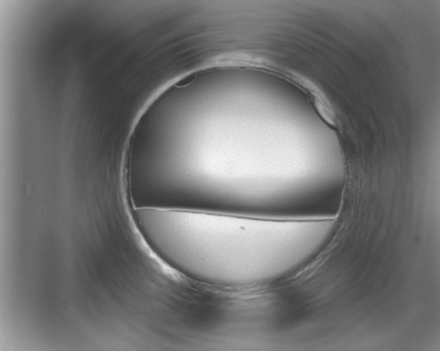 X0000076261387200609281008