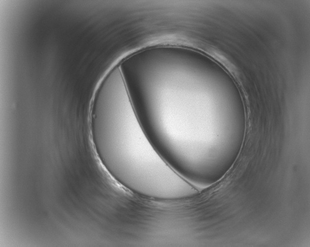 X0000076261392200609281008