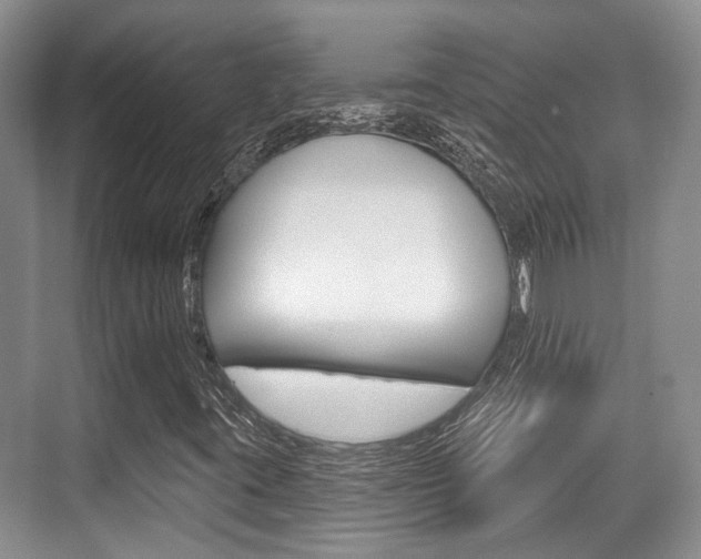 X0000076261395200609281007
