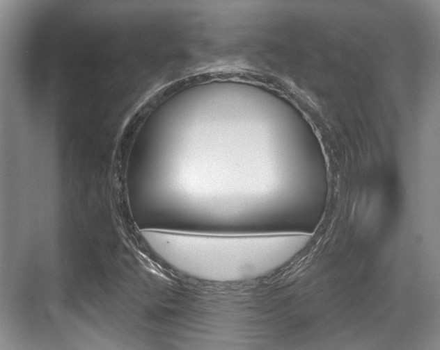 X0000076261400200609281008