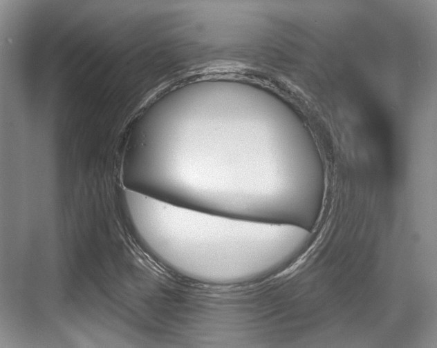 X0000076261401200609281008