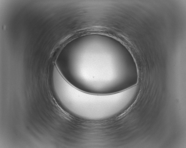 X0000076261402200609281008