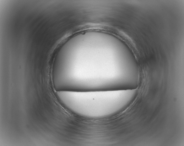 X0000076261411200609281008