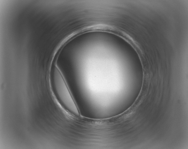 X0000076261418200609281008