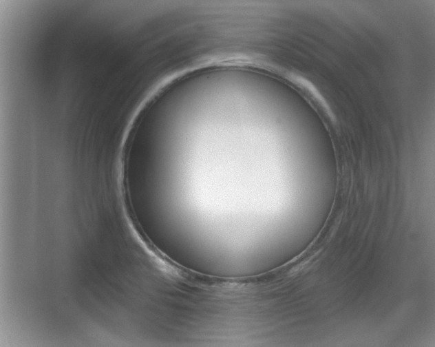 X0000076261424200609281008