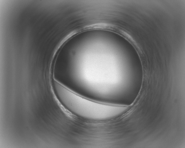 X0000076261426200609281008