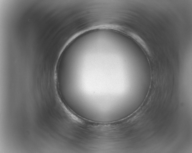 X0000076261428200609281008