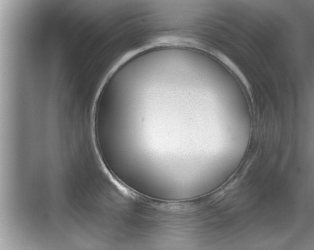 X0000076261437200609281008