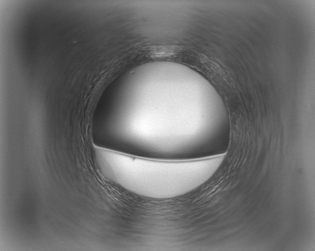 X0000076261441200609281007