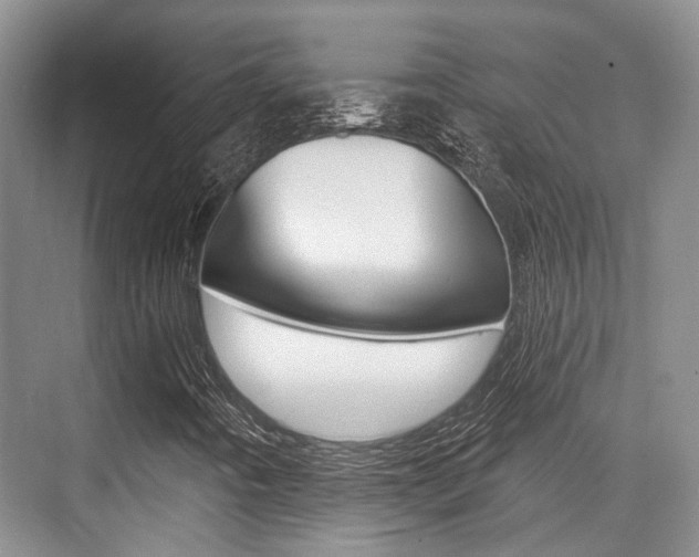 X0000076261442200609281007