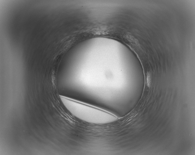 X0000076261444200609281007