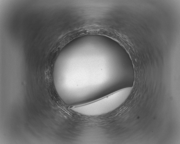 X0000076261445200609281007