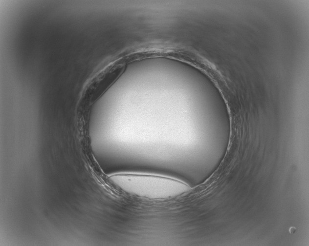 X0000076261448200609281007