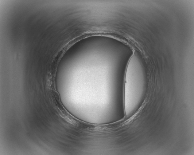X0000076261449200609281007