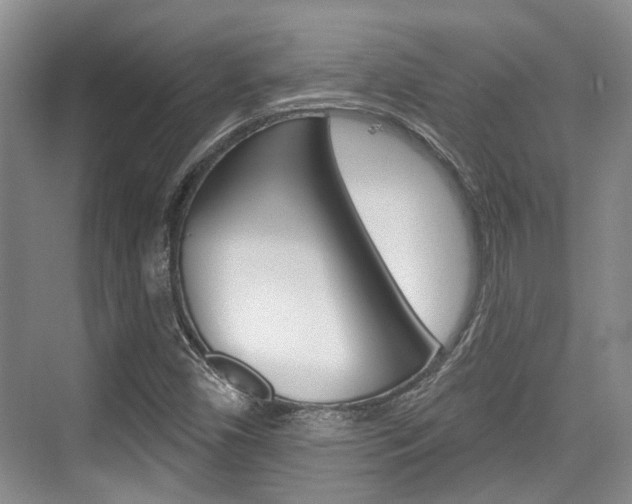 X0000076261450200609281007