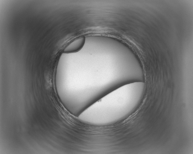 X0000076261451200609281007