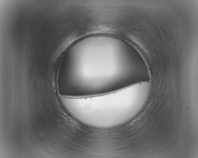 X0000076261455200609281007