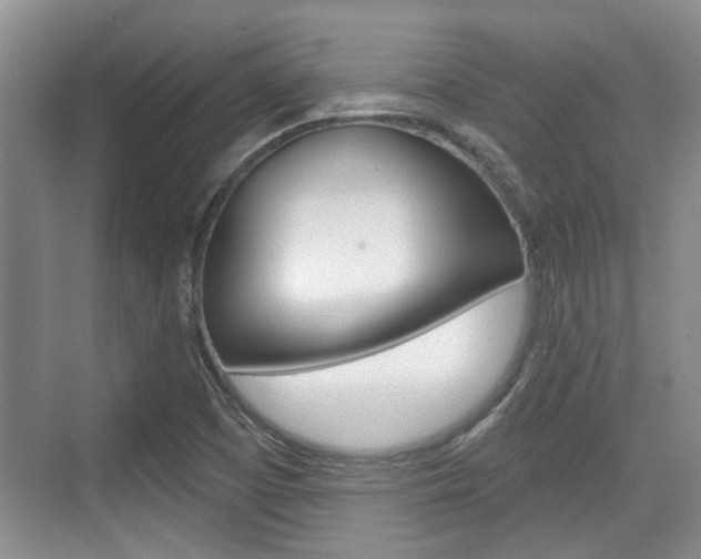 X0000076261457200609281007