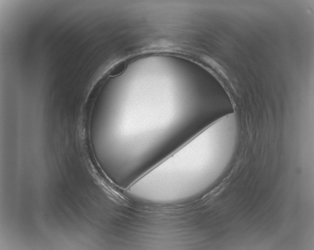 X0000076261458200609281007