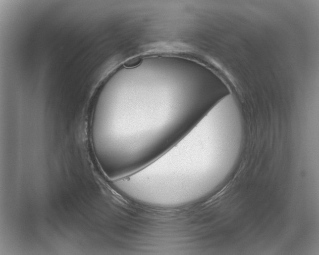 X0000076261459200609281007