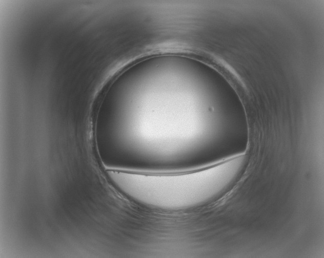 X0000076261461200609281007
