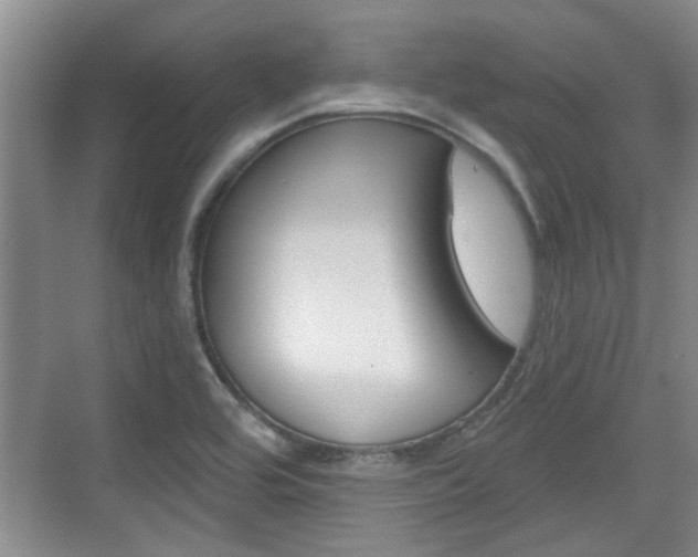 X0000076261464200609281007