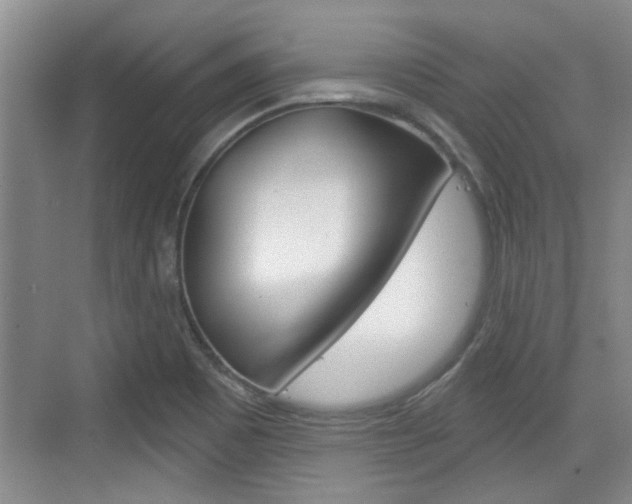 X0000076261465200609281007