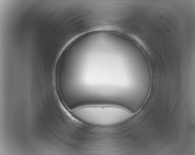X0000076261468200609281007