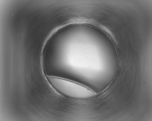 X0000076261472200609281007