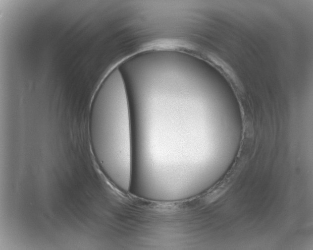 X0000076261473200609281007