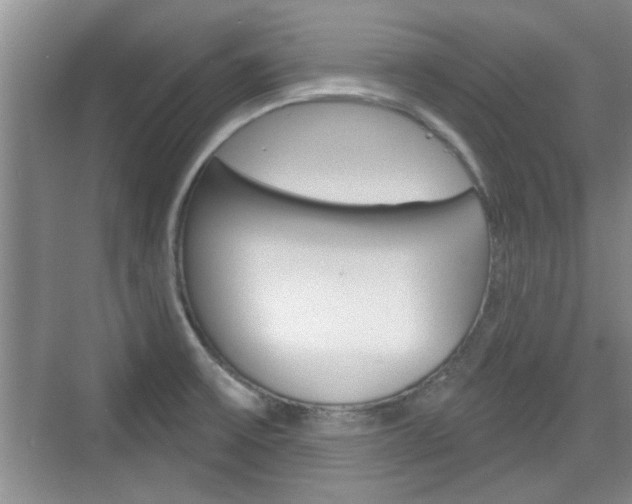 X0000076261475200609281007